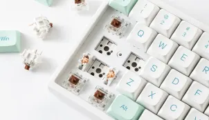 Are the switches on a mechanical keyboard replaceable? thumbnail